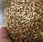 пшеница в Екатеринбурге и Свердловской области