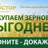 купим пшеницу, рожь, ячмень, овес. в Екатеринбурге