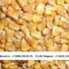кукуруза фуражная Экспорт из РФ в Нижнем Тагиле 5