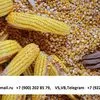 кукуруза фуражная Экспорт из РФ в Нижнем Тагиле 2