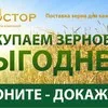 купим пшеницу, ячмень. в Екатеринбурге